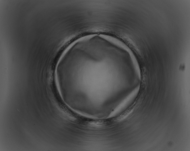 X0000095540164200801041317