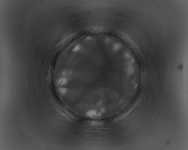 X0000095540165200801041317