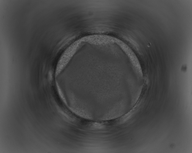 X0000095540166200801041317