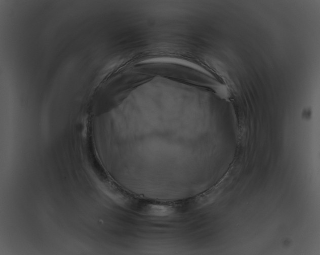 X0000095540167200801041317