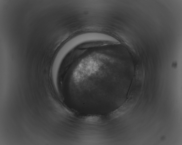 X0000095540168200801041317