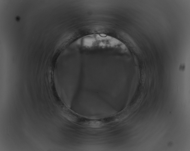 X0000095540169200801041317