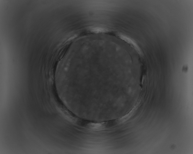 X0000095540170200801041317