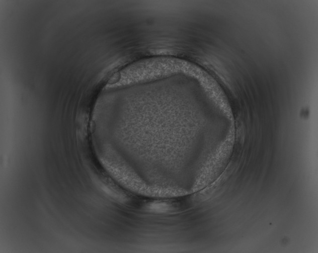 X0000095540171200801041317