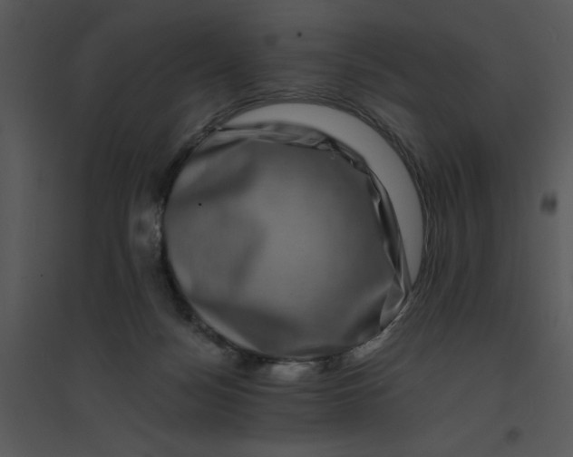 X0000095540172200801041317