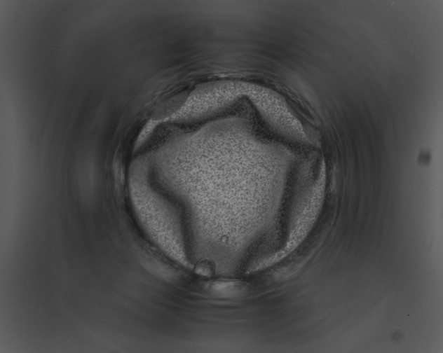 X0000095540173200801041317