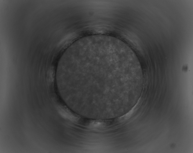 X0000095540174200801041317