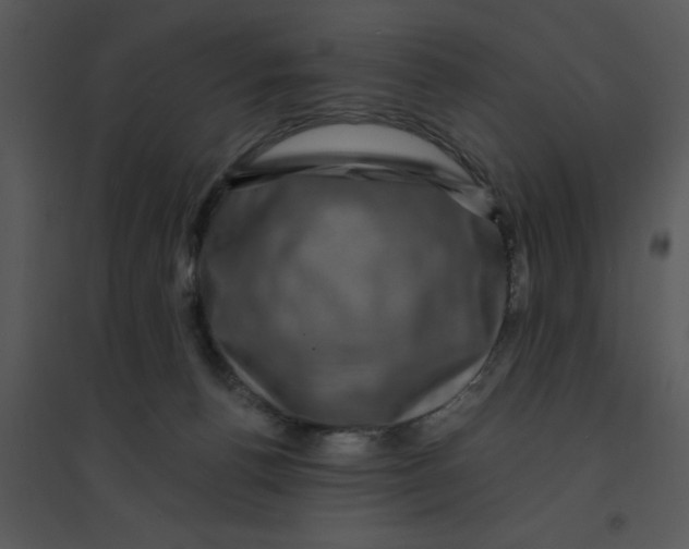 X0000095540176200801041317