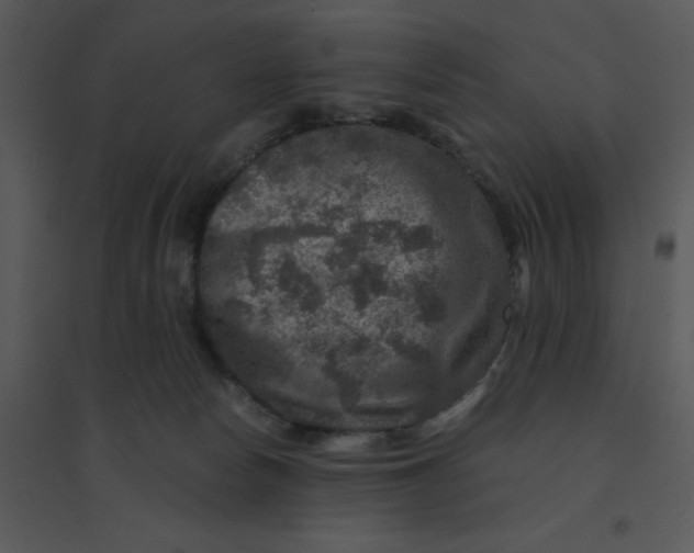 X0000095540178200801041317