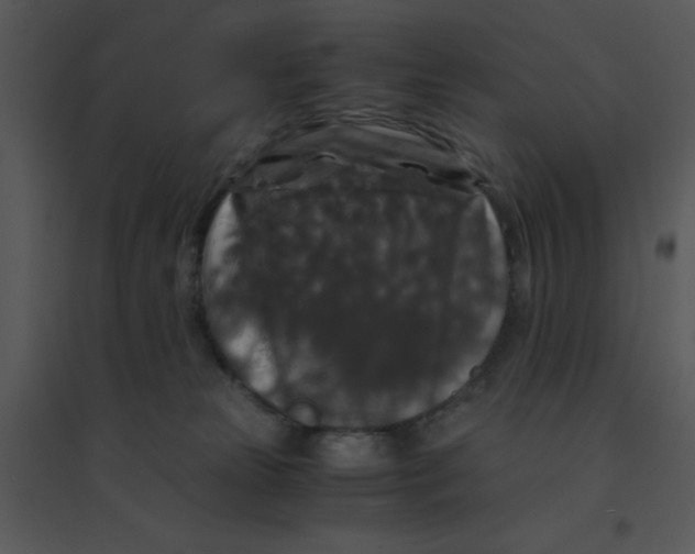 X0000095540181200801041317