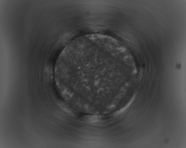 X0000095540182200801041317