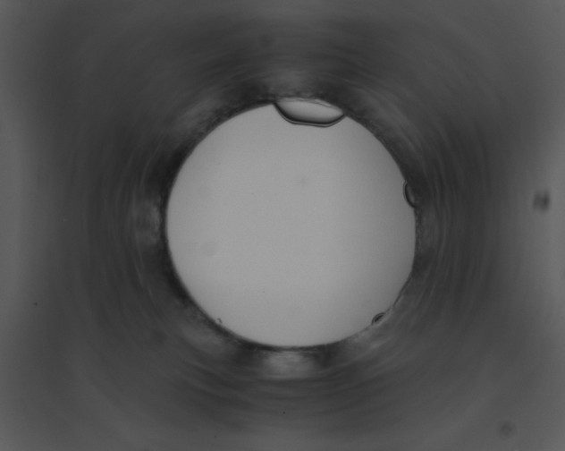 X0000095540183200801041317