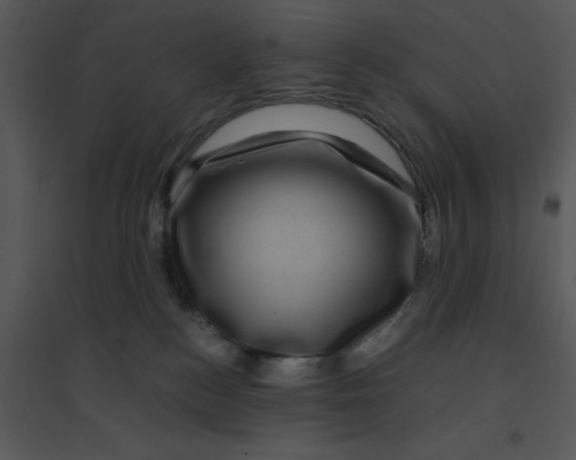 X0000095540184200801041317