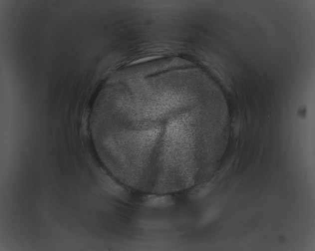 X0000095540185200801041317