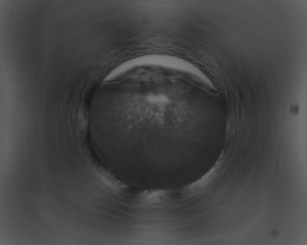 X0000095540186200801041317