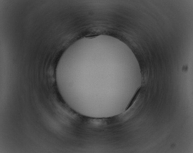 X0000095540187200801041317