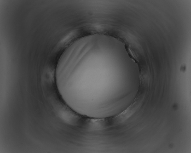 X0000095540188200801041317