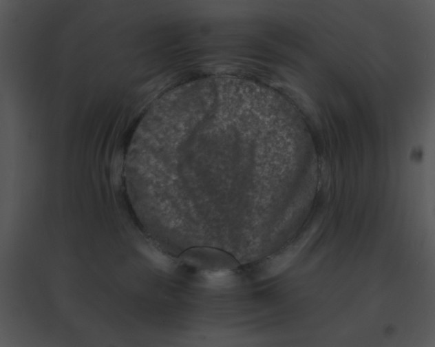 X0000095540189200801041317