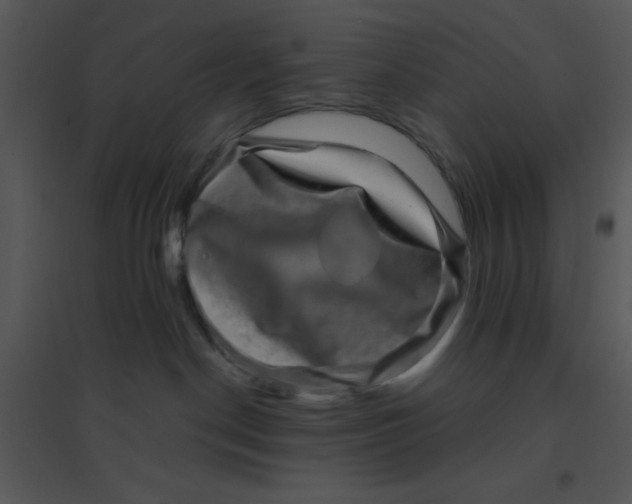 X0000095540190200801041317