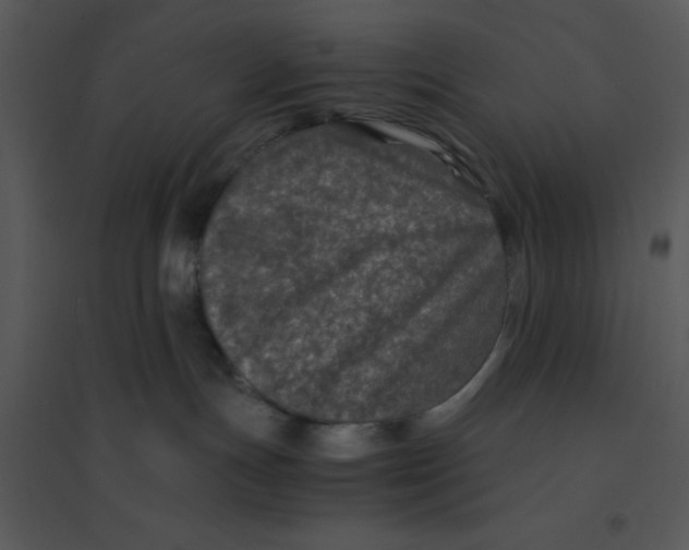 X0000095540191200801041317