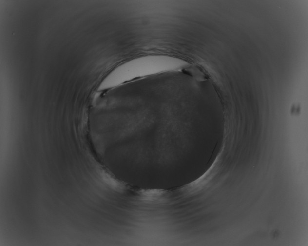 X0000095540192200801041317