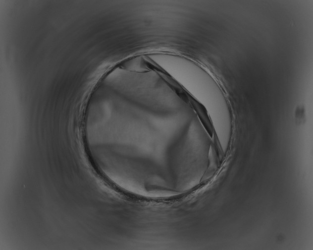 X0000095540193200801041316