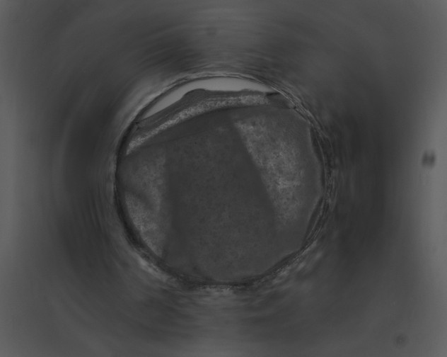 X0000095540194200801041316