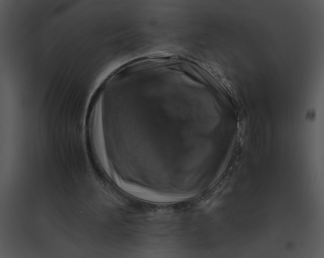 X0000095540196200801041316