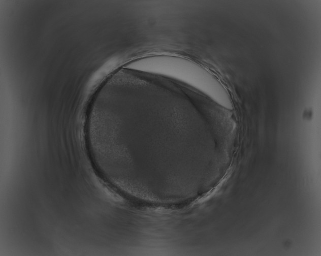 X0000095540197200801041316