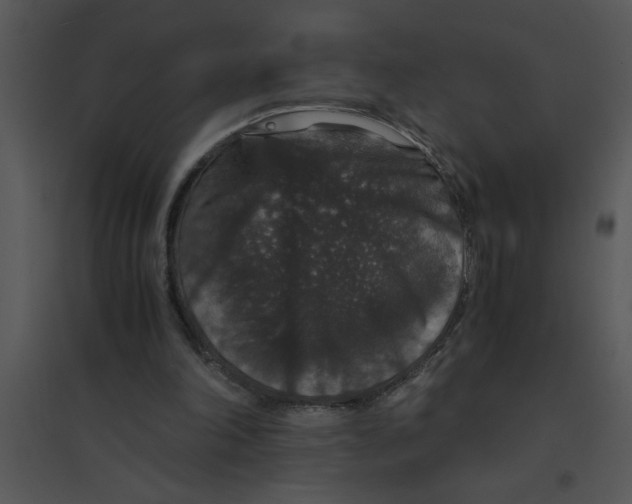 X0000095540198200801041316