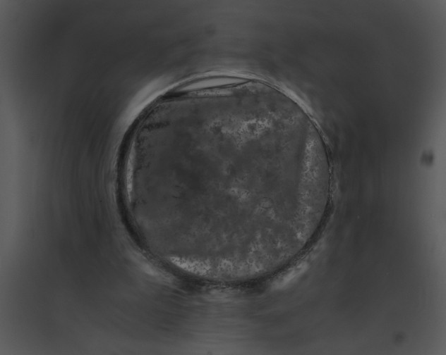 X0000095540199200801041316