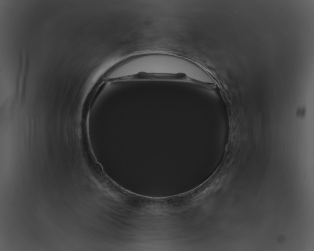 X0000095540200200801041316