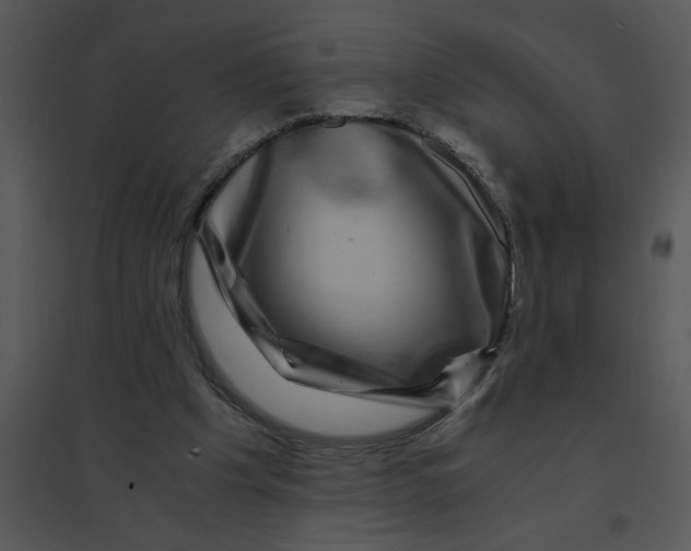 X0000095540201200801041316