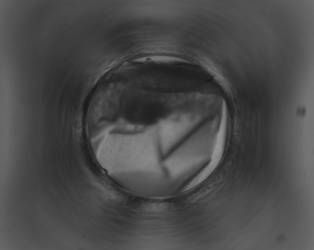 X0000095540202200801041316