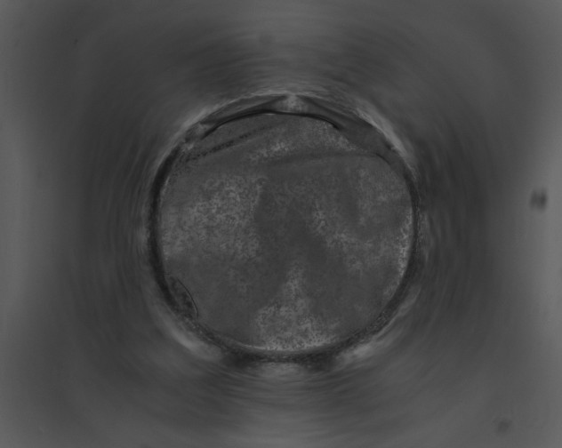 X0000095540203200801041316