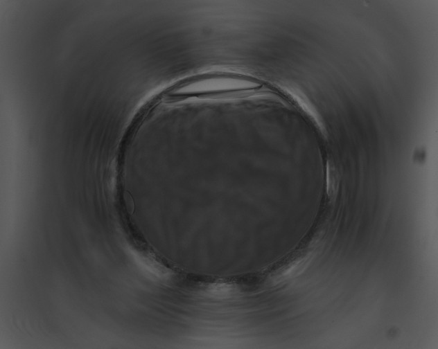 X0000095540204200801041316