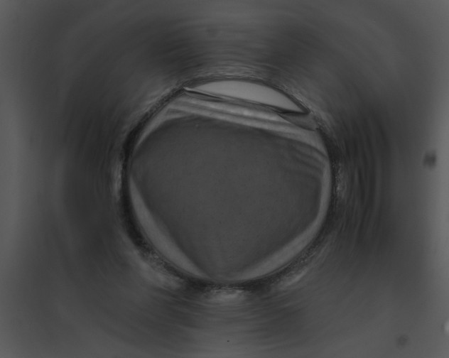 X0000095540206200801041316