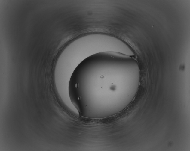 X0000095540207200801041316