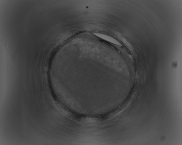 X0000095540209200801041316