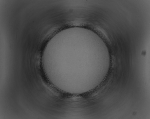 X0000095540210200801041316