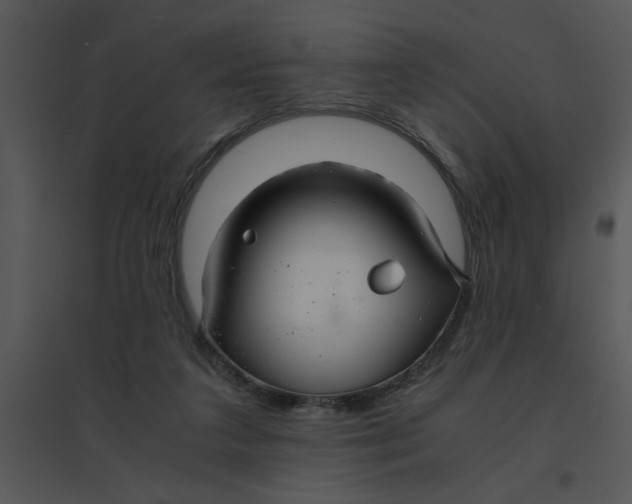 X0000095540211200801041316