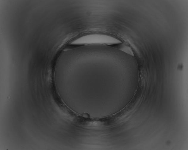 X0000095540212200801041316