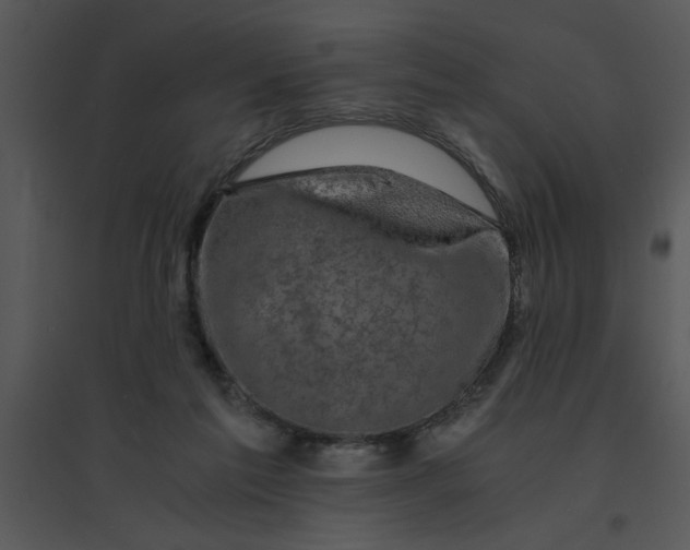 X0000095540213200801041316