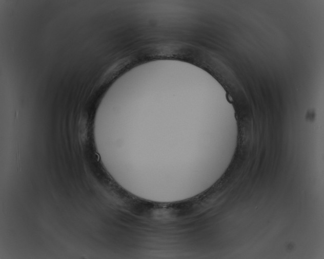 X0000095540216200801041316