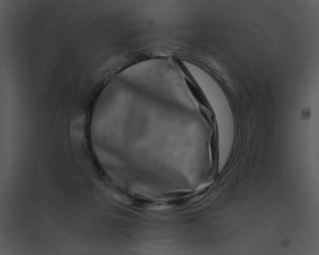 X0000095540217200801041316