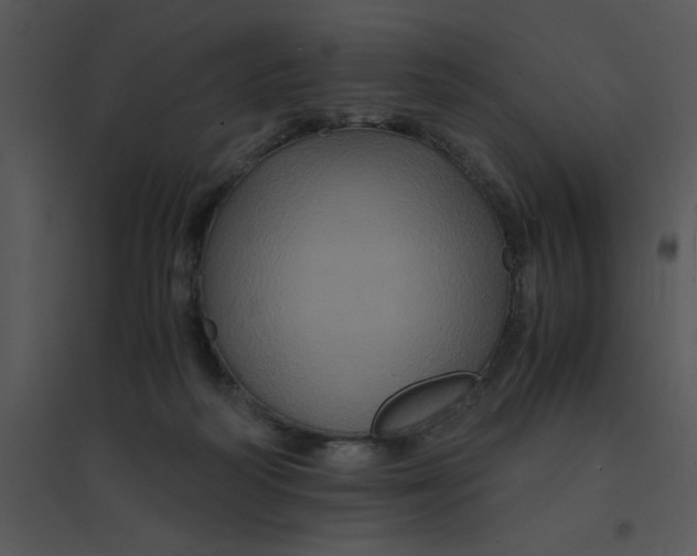 X0000095540218200801041316