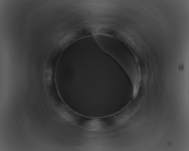 X0000095540219200801041316