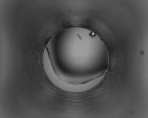 X0000095540221200801041316