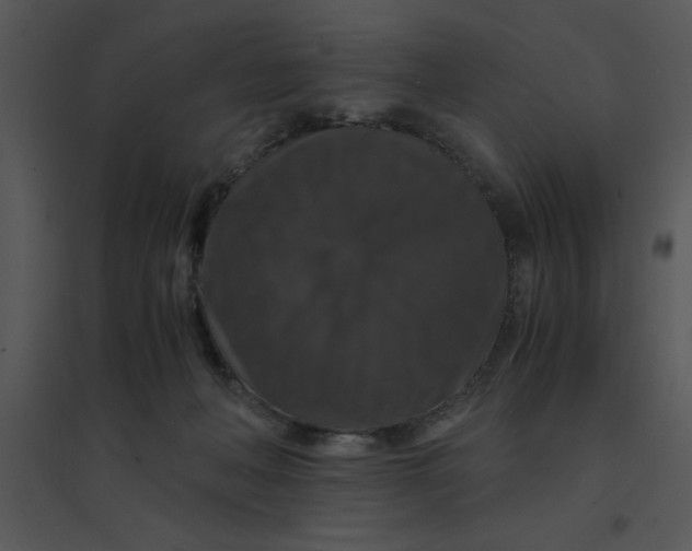 X0000095540222200801041316