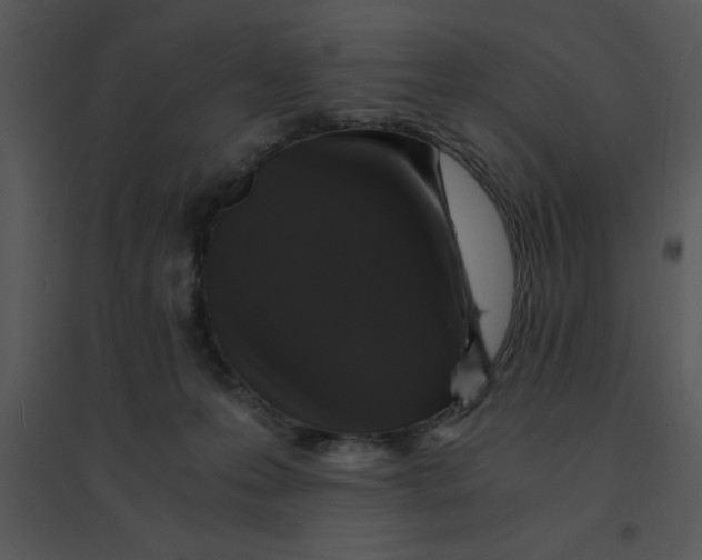 X0000095540223200801041316